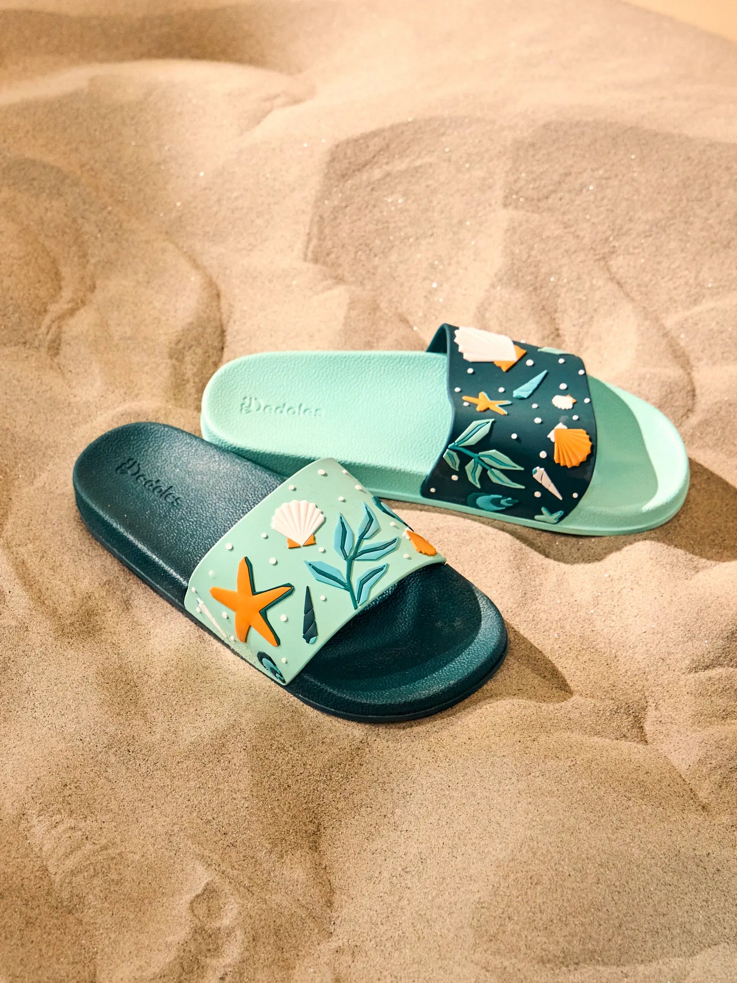 slides-seashells-5c/5c3fe02e7ddba50bce72201460d6bfbfd75a257a