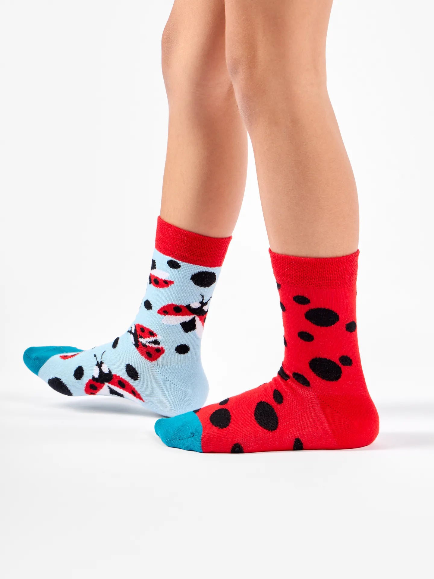 kids-socks-ladybugs-dots-okt-94/9452488e80ecb77179aa519bf264d9e2b71d9209