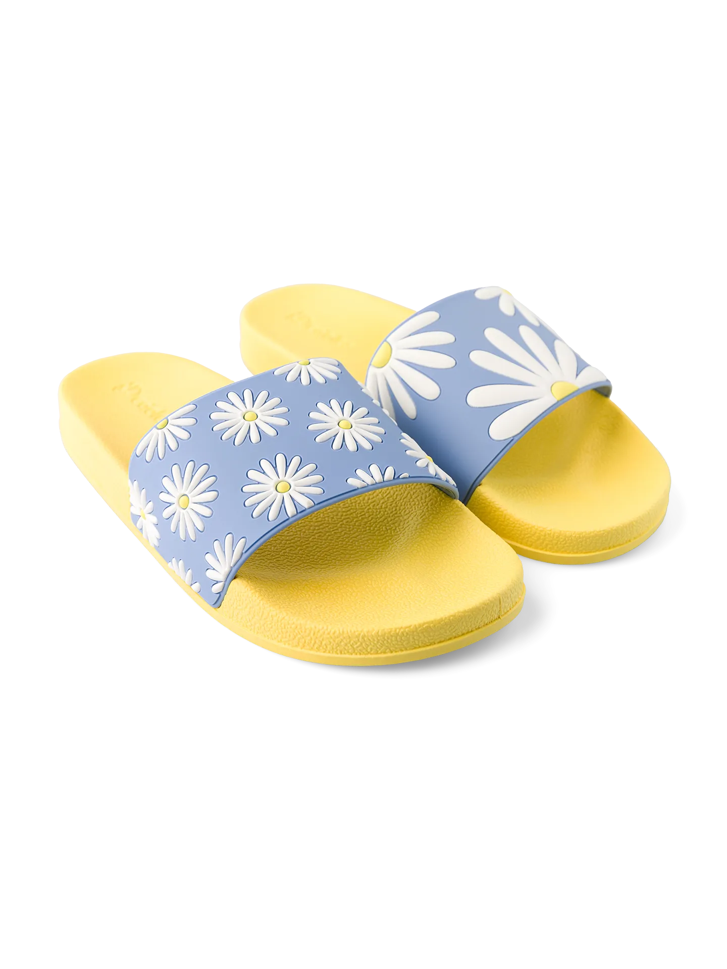 slides-sunny-daisy-e4/e4002ce16dc314cb64a33b94a3e3e1aeea347f19