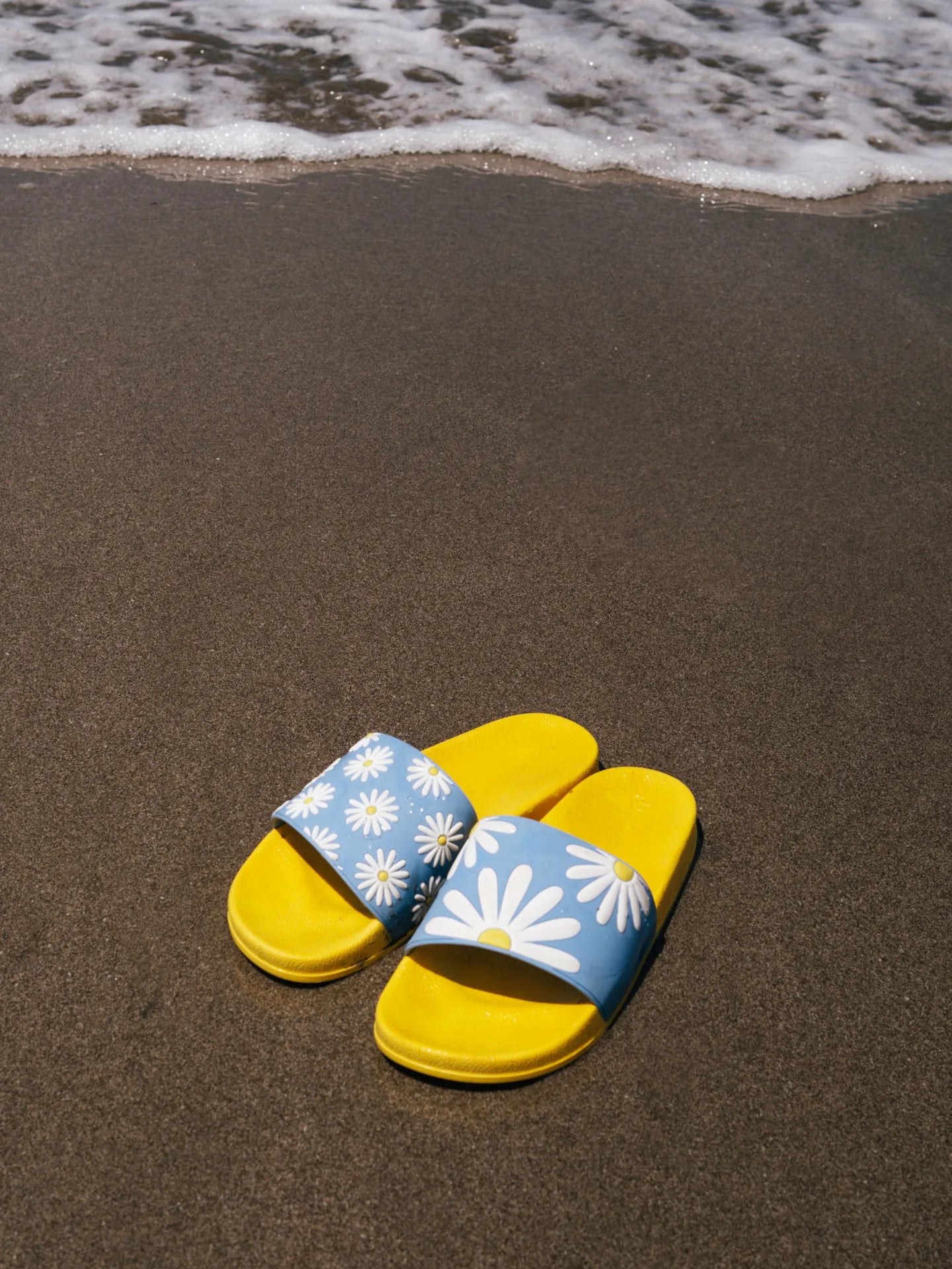 slides-sunny-daisy-81/8122fd2f6b699d9e77dfaf1e069d12479ab51bda