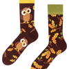 Lustige Socken Neugierige Eule