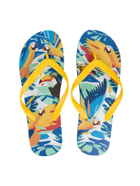 flip-flops-tropical-birds-4a/4a1509f686b8c9212aabb3d8a09511d263bc3e61