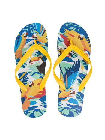 Lustige Flip-Flops Tropische Vögel