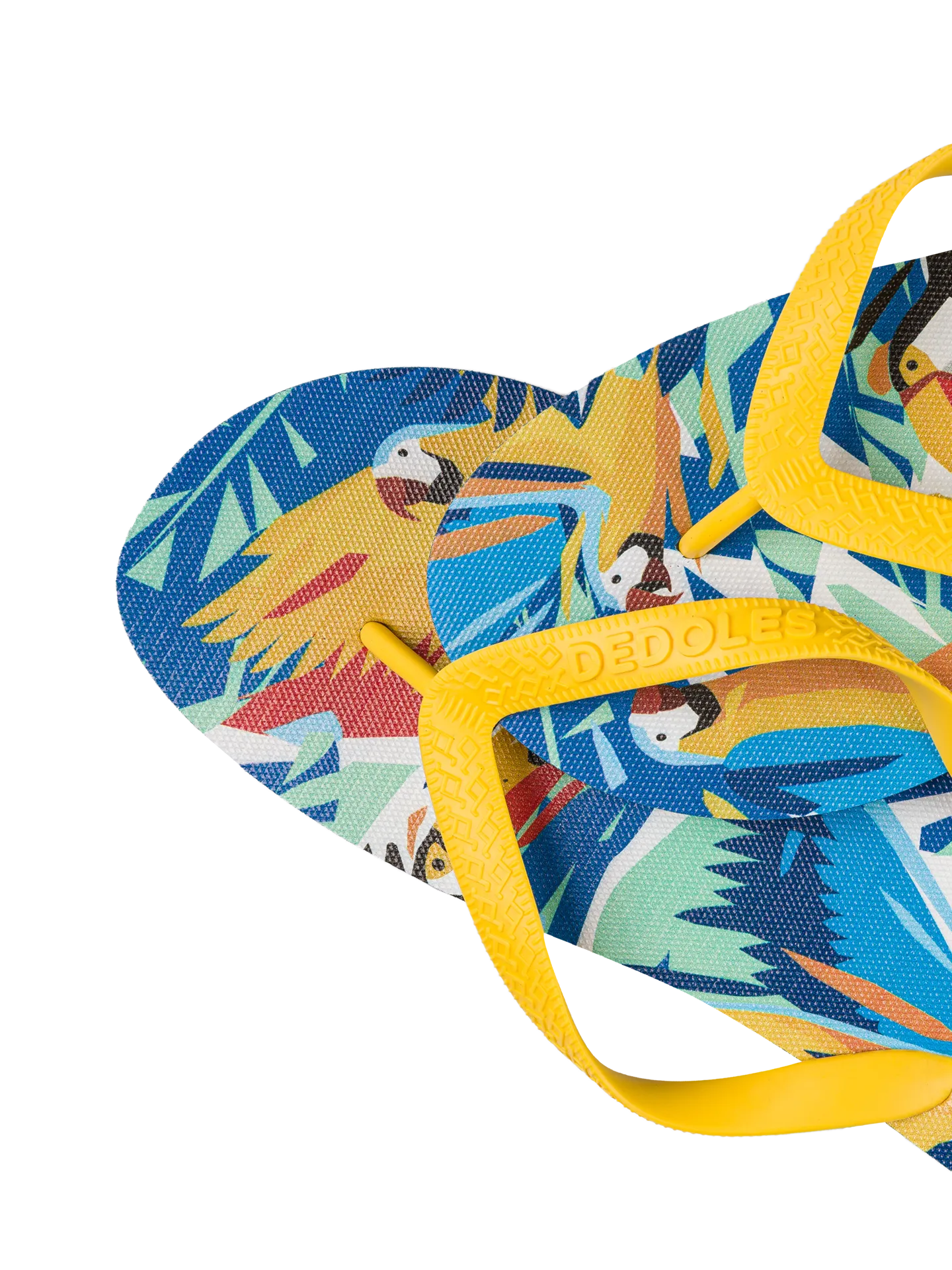 flip-flops-tropical-birds-f0/f0640c2580b242d93558e75b1a559e10477af994