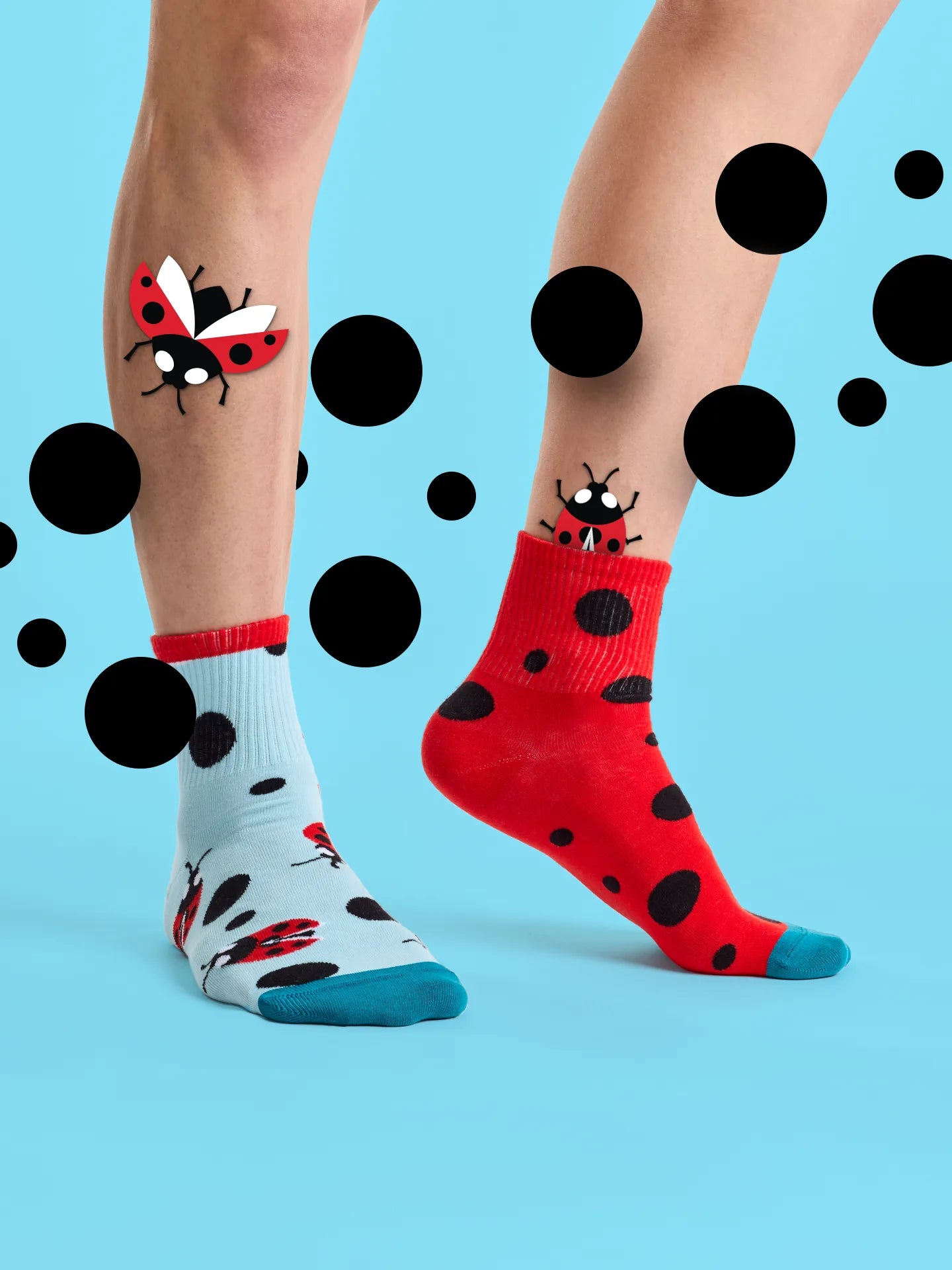 crew-socks-ladybugs-dots-02-db/dbd78d5c2e6accfedf7cb6977876223a98105859
