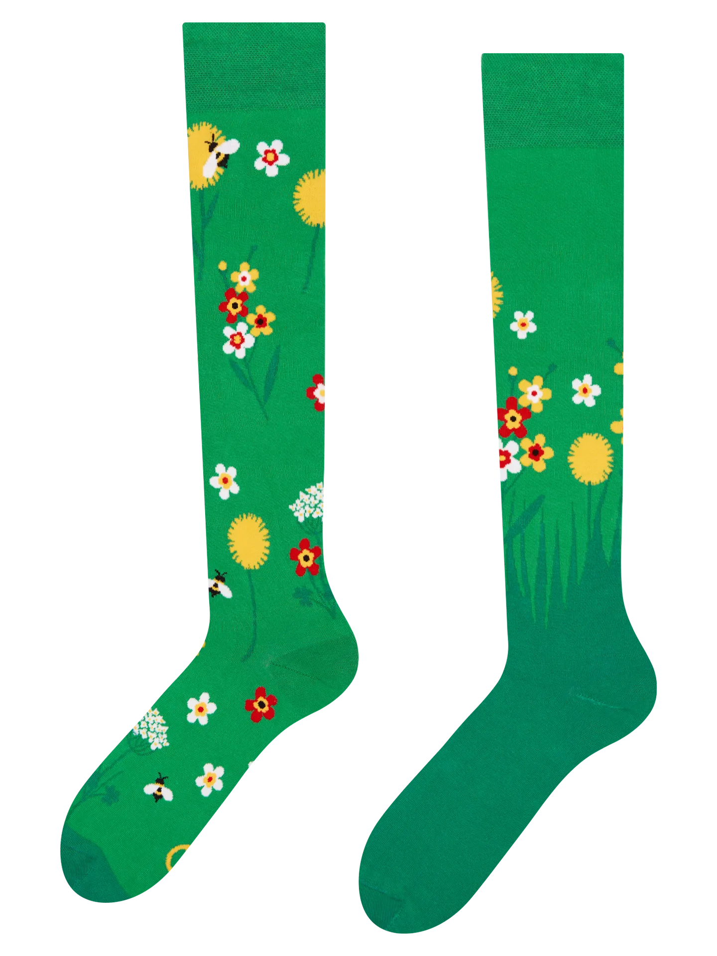 knee-high-socks-wildflowers-bc/bcc11ffaf834a9d830bf77ba325673aee9742965
