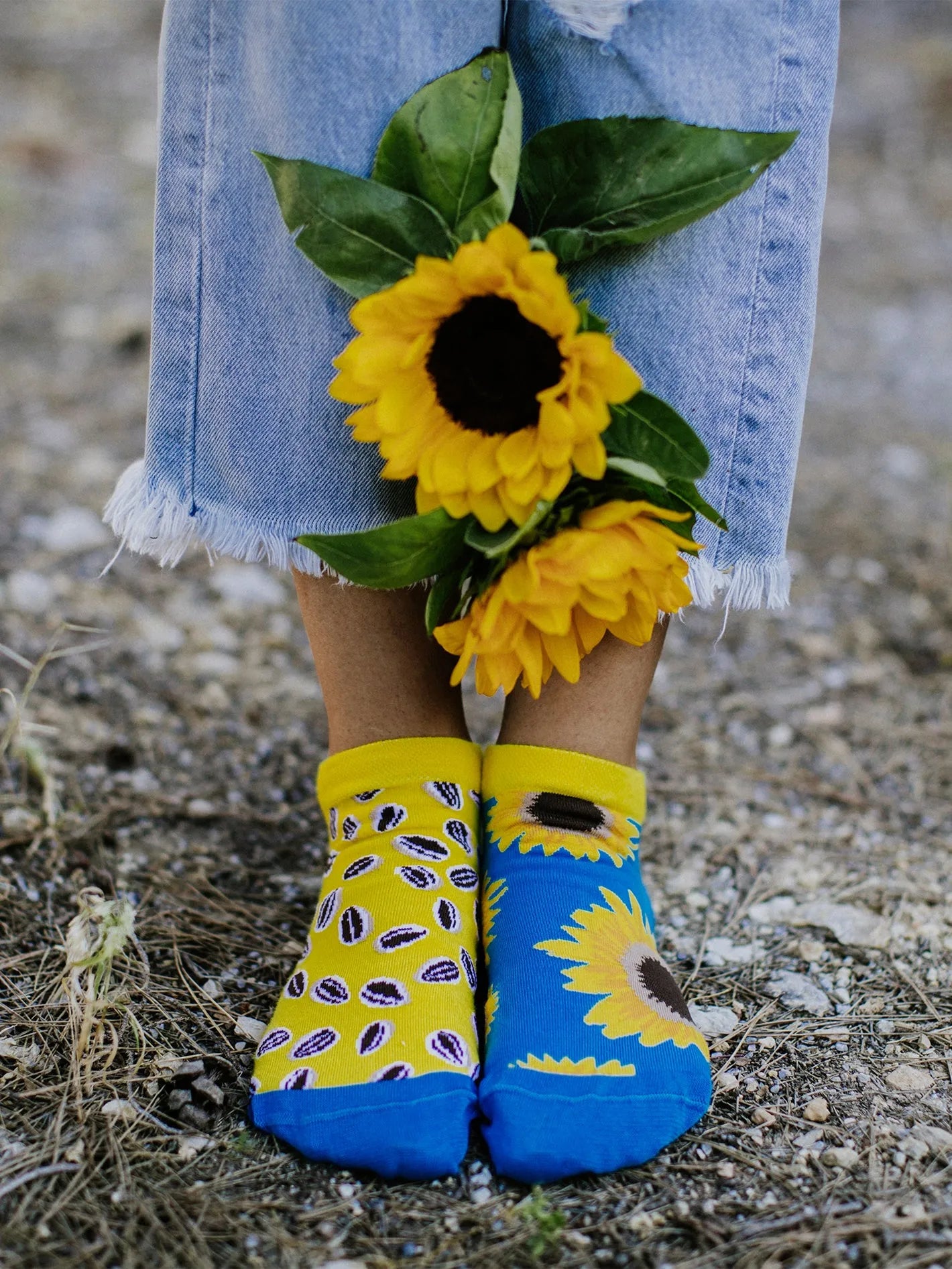 ankle-socks-sunflower-02-48/48fdafdbea8060d9e0c76e20e4e32f7456f61336