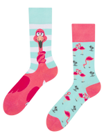 Lustige Socken Verwickelter Flamingo