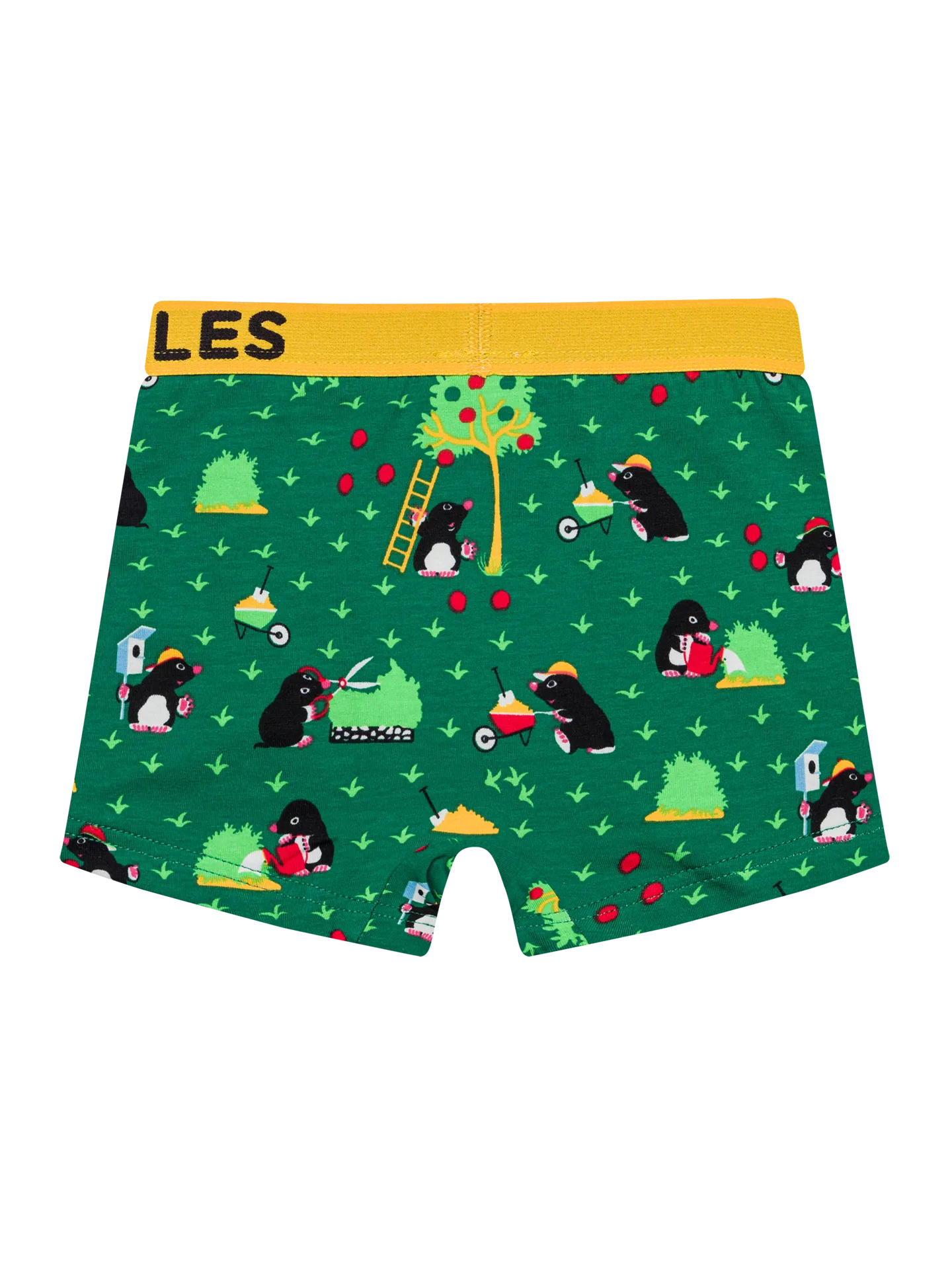 boys-boxers-mole-okt-21/21d55389904c1fe08cba71666711bccc782aaa95