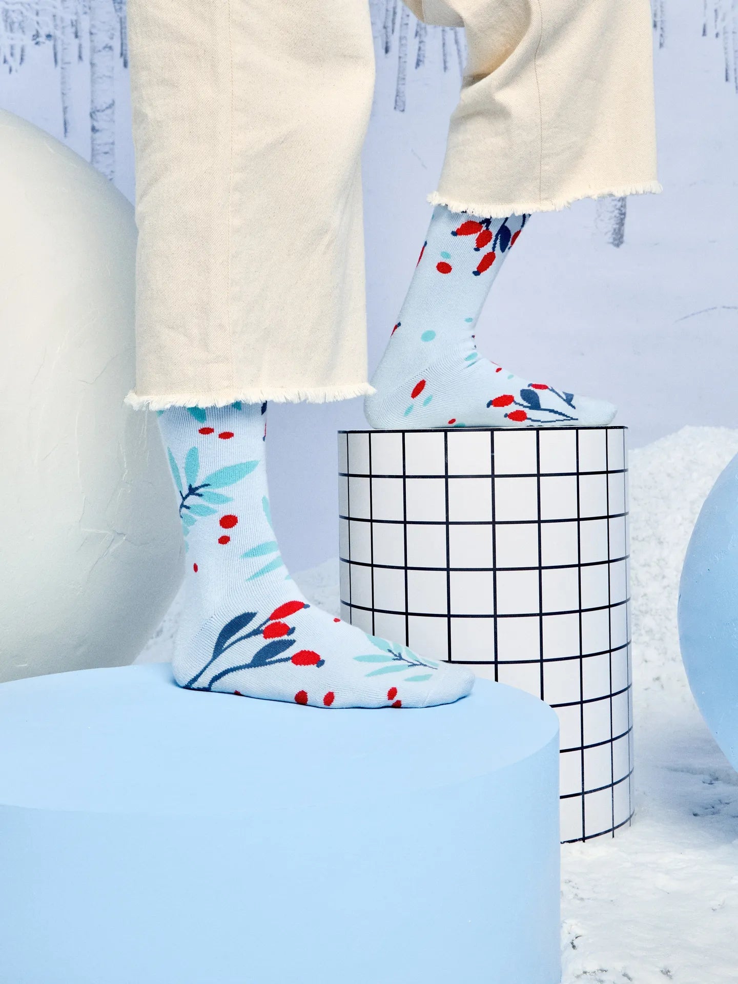 warm-socks-rosehips-in-snow-5d/5da5c41de3f6b76c3819fdc733ea30d314fc4f0e