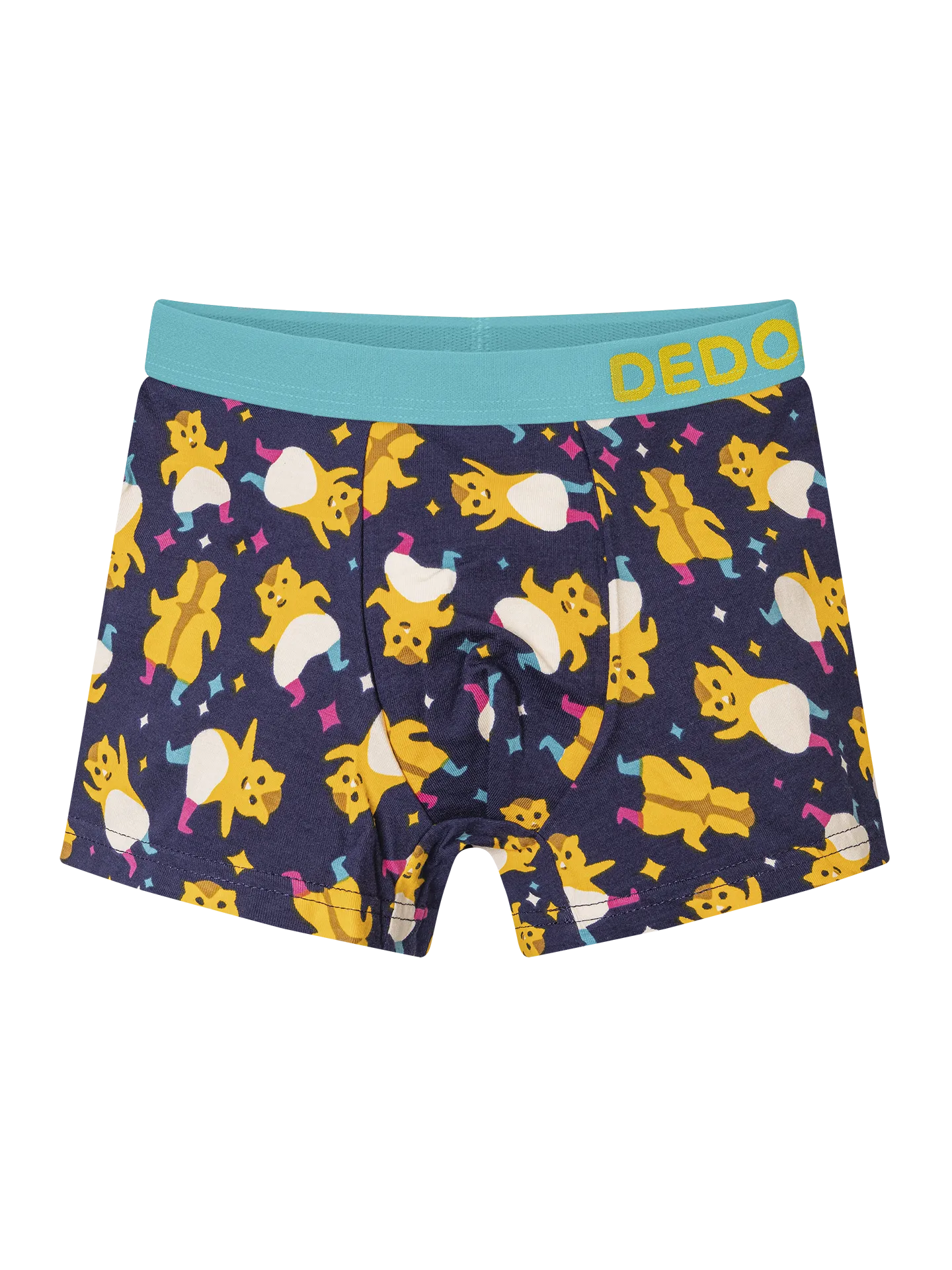 boys-boxers-party-hamsters-okt-38/38105d7aa08bbd258f7f48242692ae1d65e26c45