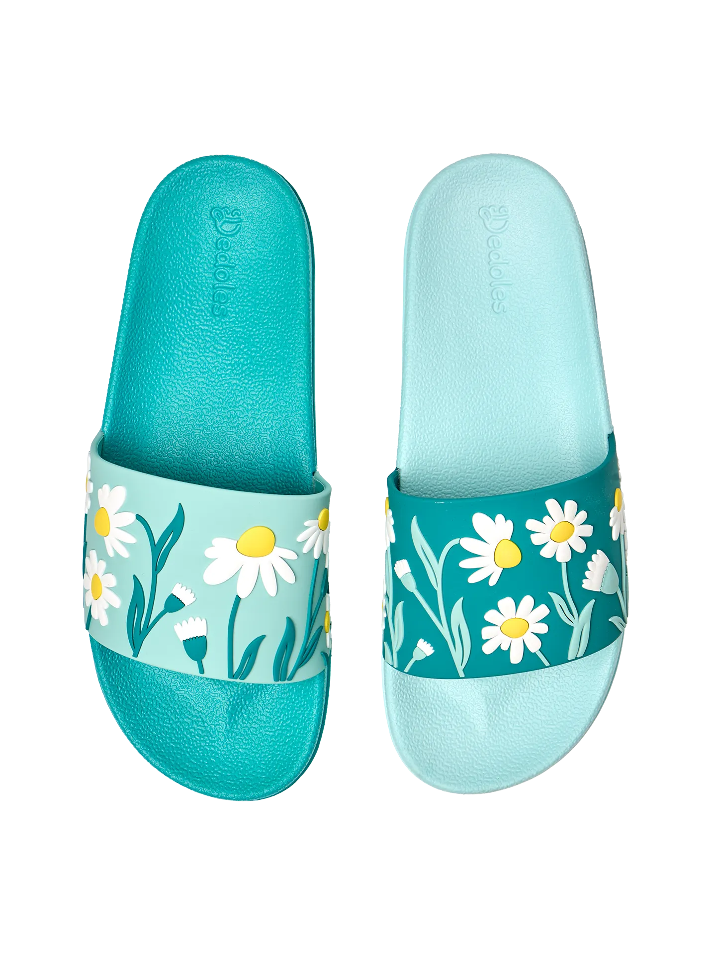 slides-turquoise-chamomile-5c/5c6ac66d404bec58d71b17c604e82535861630f8