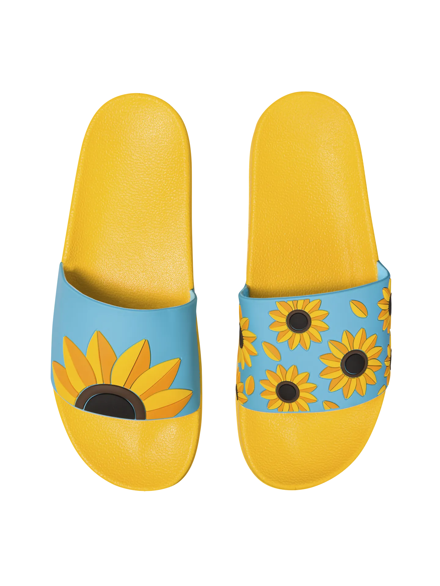 slides-summer-sunflower-44/449b2ee5fd73c86ef03d4076b4e9606900a97533