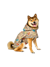 Dog Accessories