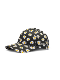 cap-daisies-at-night-a9/a9a47cc3e4baed271351b8479a935ad87fe10c8f