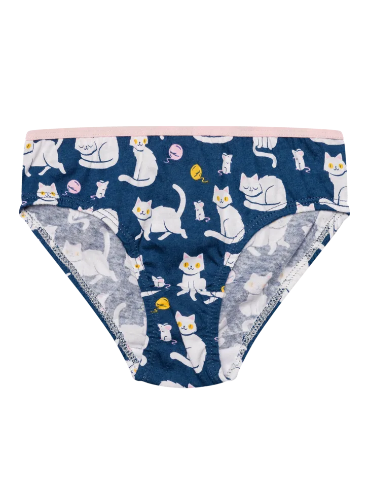 girls-briefs-playful-kitty-c2/c21cdea1b7ab14b7cc7729b0a2044500fe111785