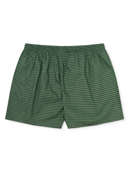 pastel-green-mens-pattern-boxer-shorts-05/05447cf357c536dff180aeaa3fe80fdb018a8420