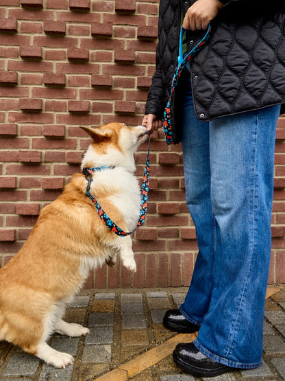 dog-leash-hearts-paws-18/1806250be5bbb465e4f588957048c8adaad06a23