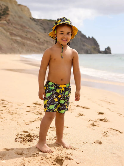 boys-swim-shorts-dino-19/194096542c05f80a7a63543d106678ccc2fb1ebc