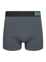Herren Boxershorts Grau