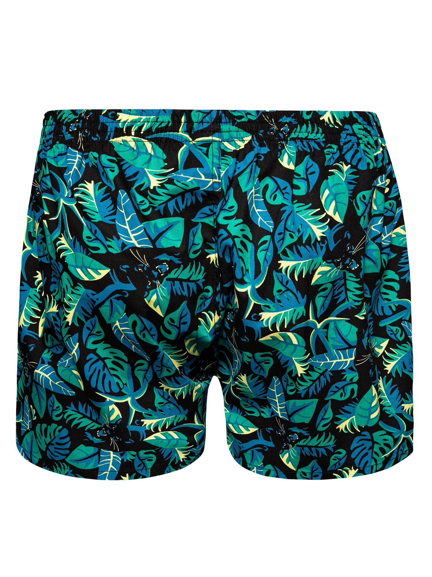 mens-boxer-shorts-night-panther-2d/2d4a6d5d9ec95cbd2eead74ecde6f9992d703618