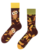 Lustige Socken Neugierige Eule