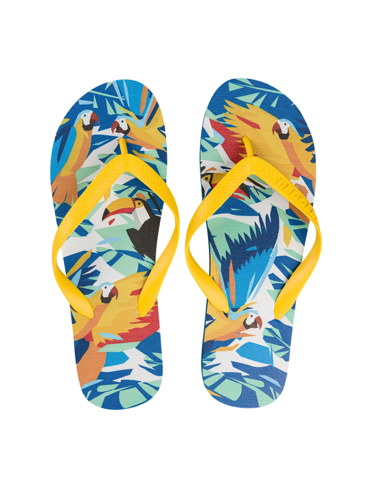 flip-flops-tropical-birds-4a/4a1509f686b8c9212aabb3d8a09511d263bc3e61