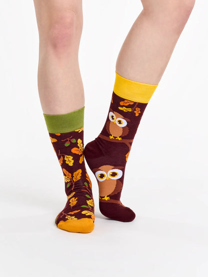 regular-socks-curious-owl-02-34/347686dda5f92bd809417933ce6a7540ef065683