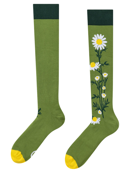 knee-high-socks-chamomile-tea-ca/ca62c631f49d1790fd0925d957d364d226c71201