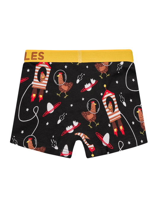 boys-boxers-hen-astronaut-okt-d0/d08bb73fa521bbb61562ade895a44449aa345525