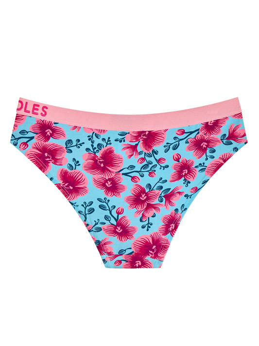 womens-modal-briefs-orchid-43/43fba5214d9955d2549673a555526ea3064f2c31