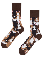 Lustige Socken Hündchen