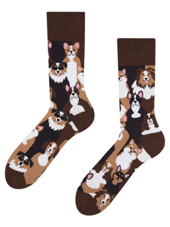 Lustige Socken Hündchen