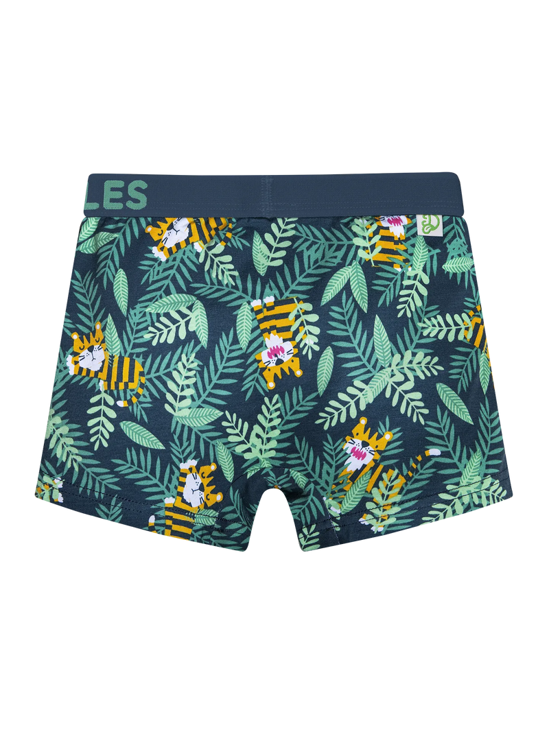 boys-boxers-tiger-47/475da1d35ea25ba1ffce195c672b6544607e2896