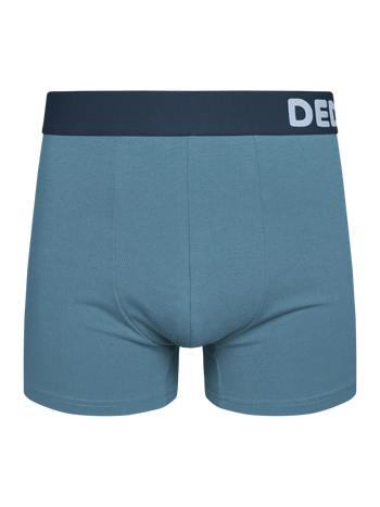 Kaltblaue Boxershorts für Männer