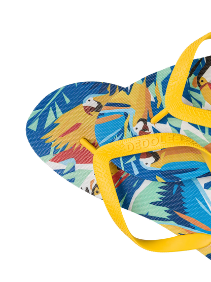 flip-flops-tropical-birds-f0/f0640c2580b242d93558e75b1a559e10477af994