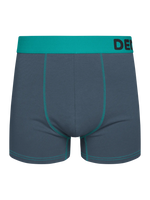 Graue und türkisfarbene Boxershorts für Männer