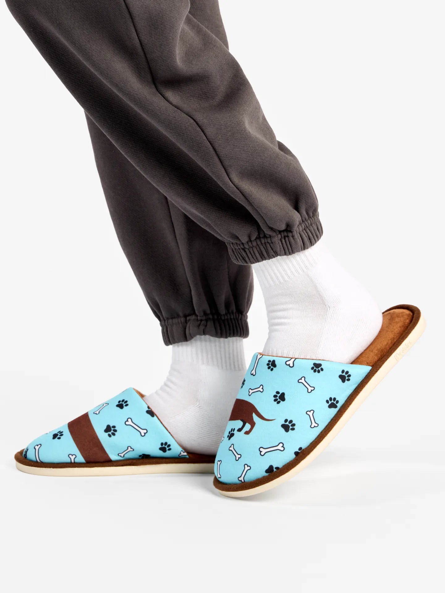 slippers-long-dachshund-4f/4f6d83de585c29109fa54bdc301f402fb5539a2b