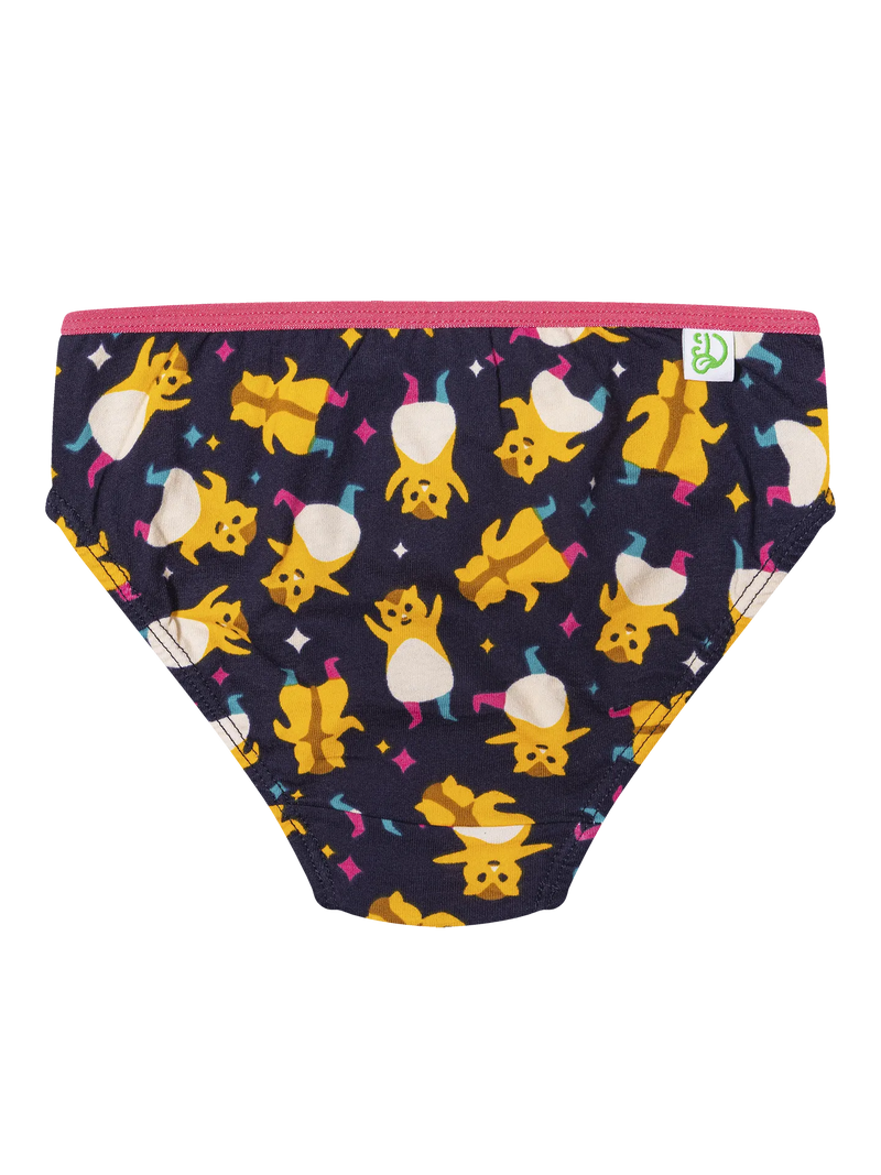 girls-briefs-party-hamsters-52/52ff127c45cc5973a4e666ef8a01134d20148891