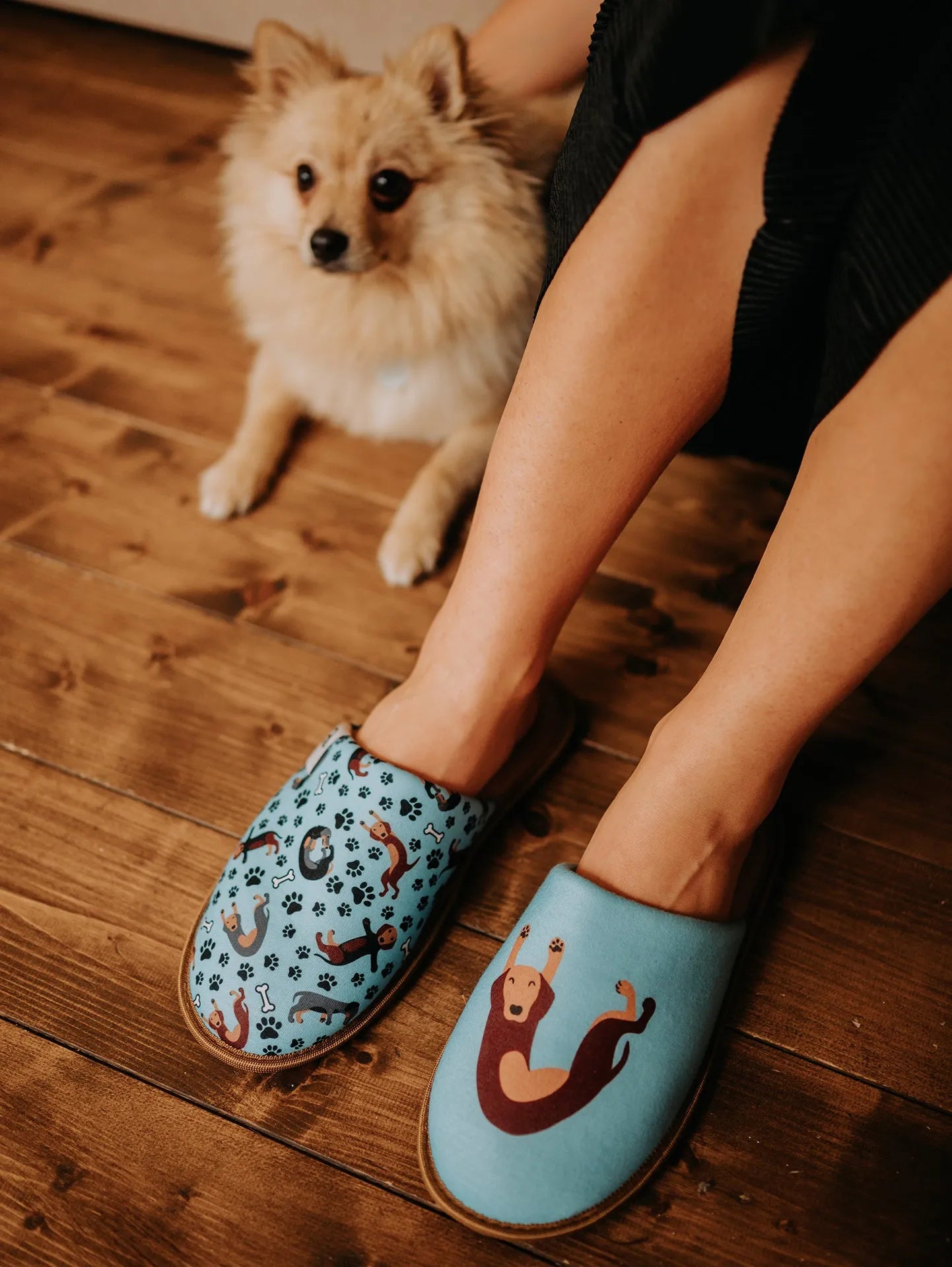 slippers-dachshund-53/530e658d43793f2b333da388904daec69694d445