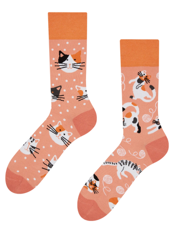 Lustige Socken Verspielte Katzen