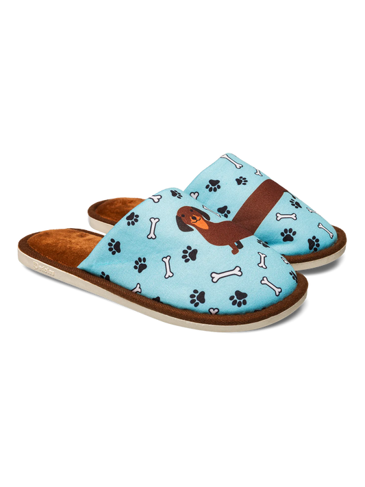 slippers-long-dachshund-57/571caebe2069dc97b37ee366de4d8d366c3b4813
