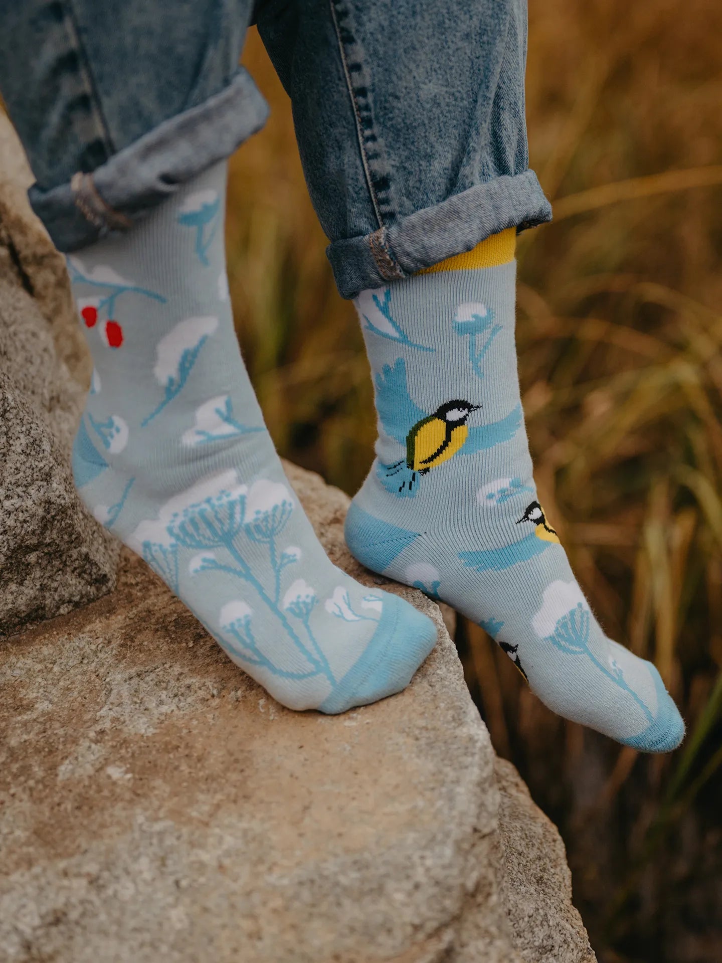 warm-socks-winter-bird-56/566c9f439f4c2472c2931e86a7425a45f7c9cfa8