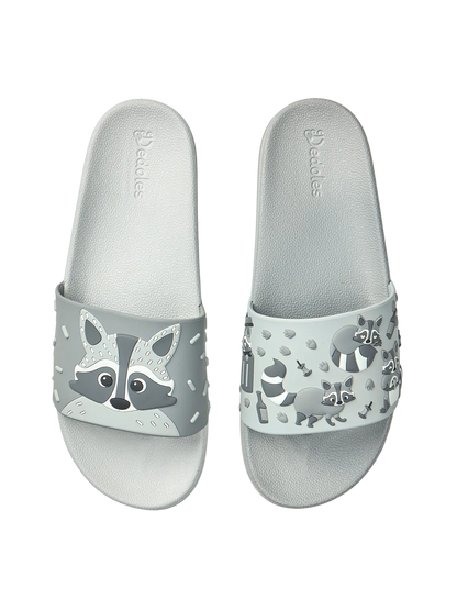 slides-racoon-5e/5e4705081bc2797a6d97eb9e3ddb4d7aeb5ca984