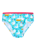 girls-briefs-goose-flowers-5e/5eb42acf31ebe83a61f940b48c39a5576e2aeacb