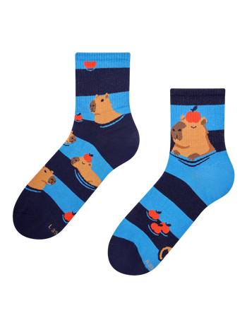Crewsocken Schwimmendes Wasserschwein