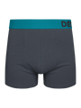 anthracite-grey-mens-trunks-1-69/697387afea245a78224dc05788a1400c659e4e86