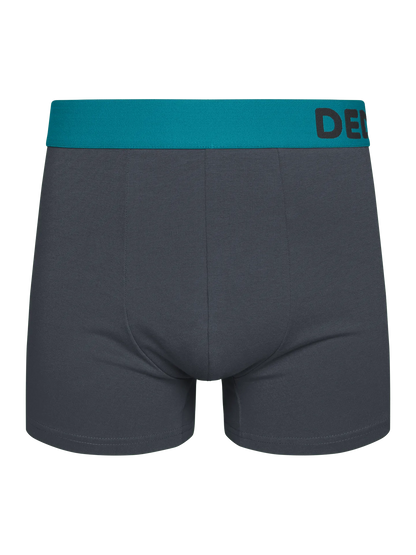 anthracite-grey-mens-trunks-1-69/697387afea245a78224dc05788a1400c659e4e86