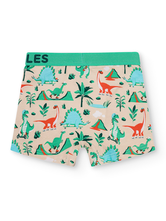 boys-boxers-dino-skatepark-6e/6ec4ae7032d77e20fd64f3dafe44bc700c906a52