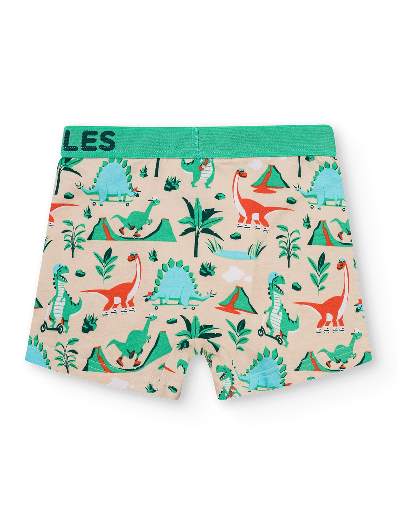 boys-boxers-dino-skatepark-6e/6ec4ae7032d77e20fd64f3dafe44bc700c906a52